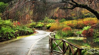 Dandenong Ranges Botanical Gardens [upl. by Alurd]