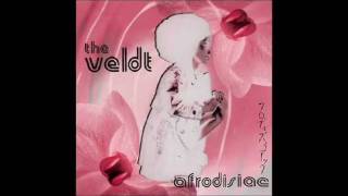 The VELDT  Until Youre Forever 1994 [upl. by Sup564]