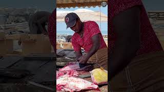 Skipjack Tuna Fast Fish Cutting 🐟 thefishcutter fish fishcutting tunafishcutting [upl. by Ochs37]