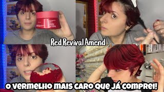 Em busca do melhor tonalizante vermelho  Red Revival da Amend [upl. by Valonia]