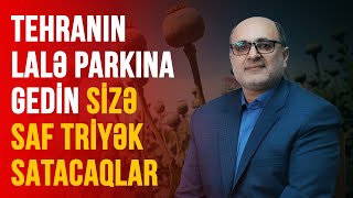 TEHRANIN LALƏ PARKINA GEDİN SİZƏ SAF TRİYƏK SATACAQLAR  PAYLAŞIM [upl. by Weisburgh]