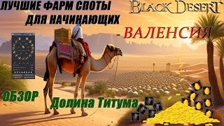 2024 БДО  Лучшие места фарма для начинающих Black Desert Online  ВАЛЕНСИЯ  ДОЛИНА ТИТУМА [upl. by Loring]