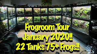 Frogroom Tour January 2020 6 New Bioactive Setups [upl. by Soloman383]