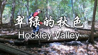 翠绿的秋色  Hockley Valley [upl. by Ardnalak]