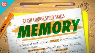 Memory Crash Course Study Skills 3 [upl. by Enair]