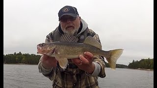 Late September Walleye Fishing on The Winnipeg River in Ontario [upl. by Titania955]