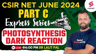 CSIR NET 2024 Preparation  CSIR Life Science Part C Photosynthesis Dark Reaction  Dr Lalit Pal [upl. by Ambur]