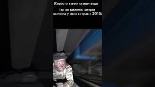 kreosan shorts meme кот сыел название [upl. by Knute310]