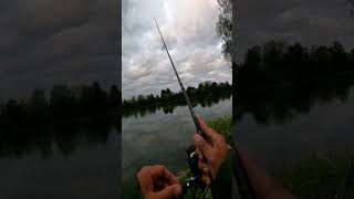 Ich teste euren Tipp gegen Grundeln Spot wechseln angeln fishing grundel [upl. by Barbur695]