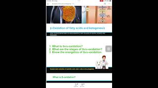 Beta Oxidation of fatty acids and ketogenesis [upl. by Kasey]