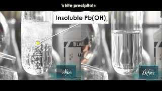 What happens when lead nitrate PbNO32 react with potassium hydroxide KOH  KOHPbNO32 [upl. by Norton]