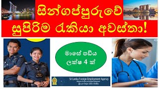 Top Singapore Job Vacancies for Sri Lankans  2024 Opportunities [upl. by Gerianna]