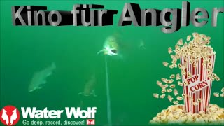 Kino für Angler [upl. by Evangelin411]