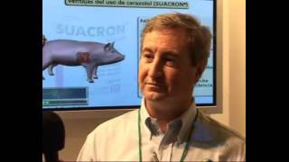 Bioaromas  1er Congreso Argentino de Nutrición Animal [upl. by Yendirb71]