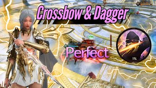 Crossbow amp Dagger Full Arena  Block Blade  Throne and liberty  round 2 [upl. by Ecirpak]