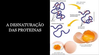 4 A DESNATURAÇÃO DAS PROTEINAS VÍDEO 01 [upl. by Haseefan]