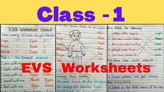 Class 1st EVS Worksheet EVS Worksheet for class 1 Class 1 EVS [upl. by Nnaer748]