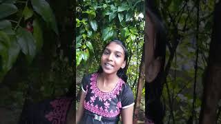 കുസൃതി ചോദ്യംaleena vlogs🥰🥰🥰 [upl. by Akcemat]