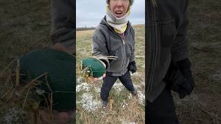 We found an emu egg [upl. by Nomolos]