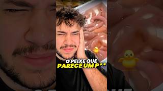 peixe da Coreia livedobrino humor MundinhoBrino [upl. by Akinet]