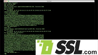 How to Export Certificates and Private Key from a PKCS12 File with OpenSSL [upl. by Vernita]