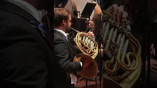 Mahler Symphony No5 Horn obbligato mahler classicalmusic orchestra horn music livemusic [upl. by Eledoya]