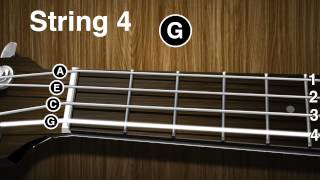 How to tune a Ukulele  Ukulele tuning video  gCEA [upl. by Enela]