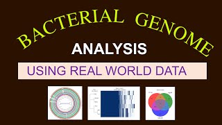 Whole Genome Sequence Analysis  Bacterial Genome Analysis  Bioinformatics 101 for Beginners [upl. by Mena637]