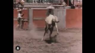 Película de Pepe Aguilar “Jesús Cadena y La Güera Chabela” en los 90s  El Aplausos 🐎 [upl. by Geanine]