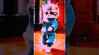 Cute cat Billa dance🥰😍🤩🤩🥰🥰😍subscribe for more video😇😇😇shortsmr om the creator [upl. by Thacker155]