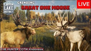 GREAT ONE GRINDING MOOSE  Call Of The Wild [upl. by Attennek763]