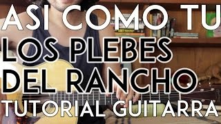 Asi Como Tu  Los Plebes del Rancho  Tutorial  Guitarra  Requinto  Acordes  Como tocar [upl. by Nimar]