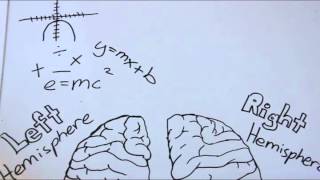 Roger Sperrys Split Brain Experiment [upl. by Hartwell]