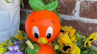 March 2024 ORANGE BIRD SIPPER CUP SOLD at the quotCitrus Blossom Storequot in Epcot Walk Through in 4K [upl. by Montano402]