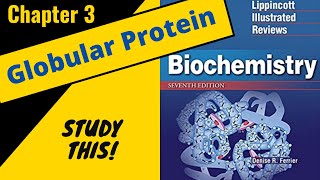 Lippincotts Biochemistry Review Chapter 3 Globular Proteins  Study This [upl. by Yecnahc595]