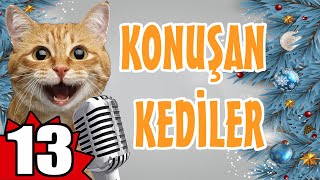 KONUŞAN KEDİLER 13  EN KOMİK KEDİ VİDEOLARI [upl. by Peppy247]