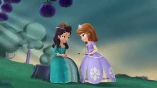 Sofia the First  Know It All [upl. by Esorrebma]