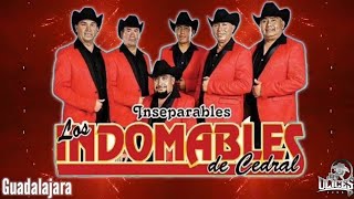 Los Indomables De Cedral  Huapango quotGuadalajaraquot ♪ 2020 [upl. by Obel]