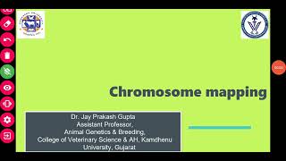 Chromosome mapping Genetic Mapping [upl. by Blainey]