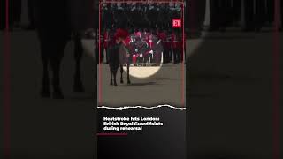 Heatstroke hits London British Royal Guard faints during rehearsal [upl. by Liman]