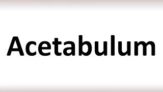 How to Pronounce Acetabulum correctly [upl. by Ettenauq]