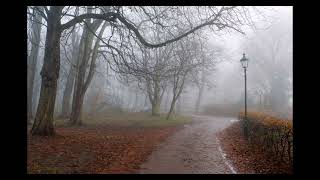 alt rock  2008  emo rock type beat quotNovember autumnquot prodmounted [upl. by Eiral306]