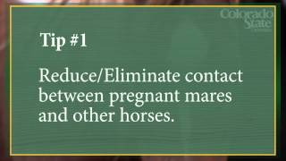 Clinical Tips in Equine Reproduction Vaccination of pregnant mares to prevent EHV1 abortion [upl. by Nohsar]