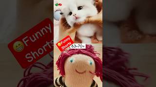 Funny cat videos cute kitty [upl. by Akenahc622]