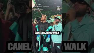 CANELOS RING WALK 🤩🔥 [upl. by Haelak753]