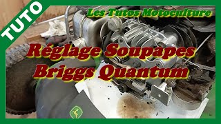 Réglage soupapes Briggs Quantum OHV [upl. by Notterb403]