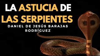 LA ASTUCIA DE LA SERPIENTE  ENSEÑANZAS DE LOS ANIMALES [upl. by Kirenoj]