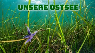 Unsere Ostsee  schön und schützenswert [upl. by Ellehcim]