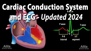 Cardiac Conduction System and Understanding ECGEKG  Updated 2024 Animation [upl. by Leslie572]