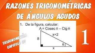 RAZONES TRIGONOMÉTRICAS DE ÁNGULOS AGUDOS I  TRIGONOMETRÍA CAPÍTULO 03 EJERCICIO 01 [upl. by Lamee]